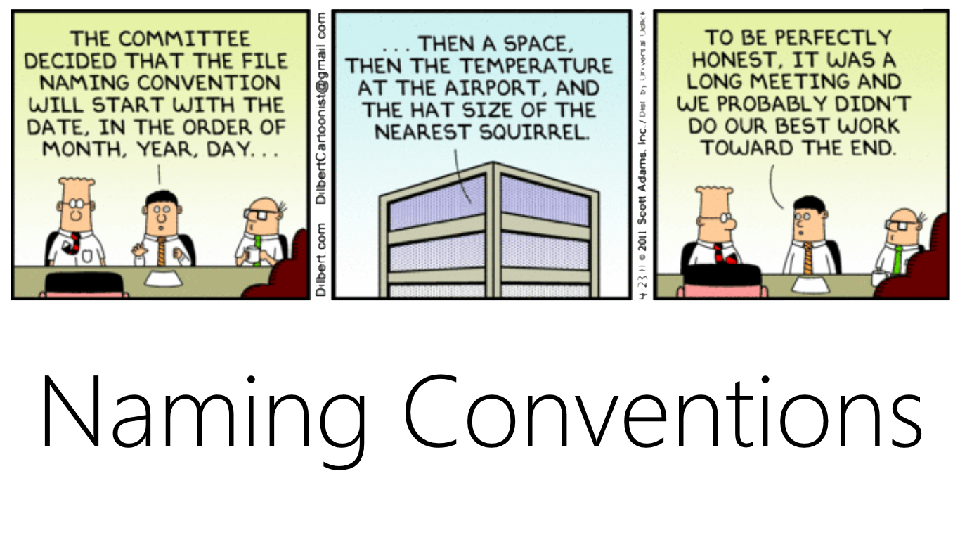 msdn naming conventions